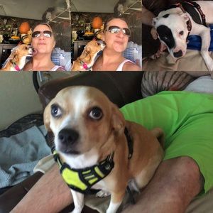 Meet your Posher, Deborah